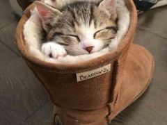 android_upload_pic-Sirena海妖日咖夜酒