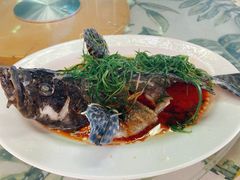 -四姑娘川味海鲜(八爪鱼店)