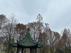 -江滩湿地公园