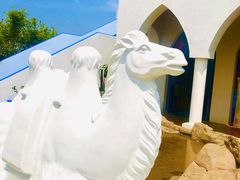 -马大胡子清真西北菜