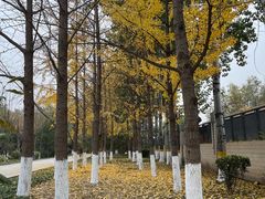 -康庄公园