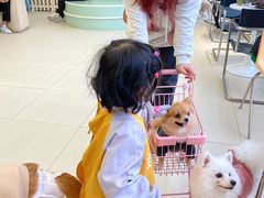 -怪兽屋·羊驼·猫咖·狗咖(俊华广场店)