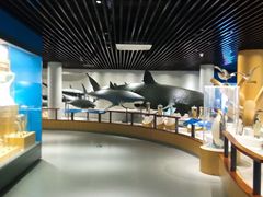 -青岛海底世界-水族馆