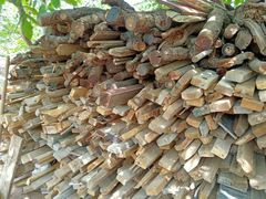 -水库活鱼馆(于桥水库店)