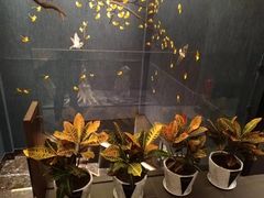 -百富源·海鲜辽菜(和平北大街店)