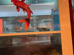 -山西会馆·晋菜·晋商宴·学堂记忆(许坦西街店)