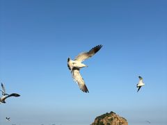 -棒棰岛宾馆景区