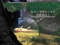 -江和美海洋公园