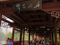 -重庆彩云湖湿地公园