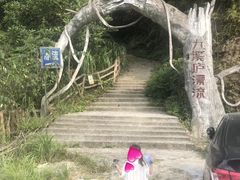 -龙岩森林水乡景区