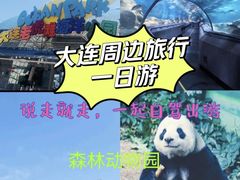 -大连老虎滩海洋公园