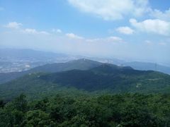 -东莞市大岭山森林公园