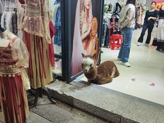 -东西巷