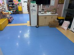 -天使宠物医院·犬猫分诊(彩虹店)