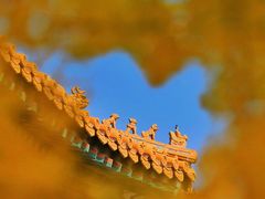 -故宫博物院(故宫)