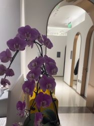 -Dr.U博士医疗美容医院