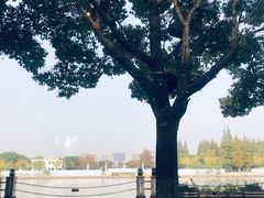 -源泰东南亚风味餐厅(太仓海运堤店)