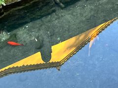 -九华山风景区月身宝殿