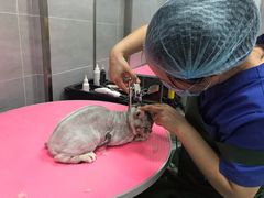 -宠福鑫康馨动物医院·骨科·眼科