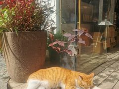 -厦门良筑精品酒店(厦门中山路店)