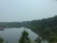 -溱湖国家湿地公园