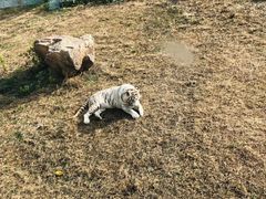 -无锡动物园·太湖欢乐园