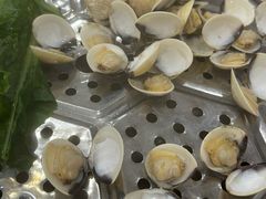 -凯盈阁·顺德私房菜·桑拿鸡