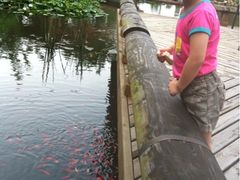 iphone_upload_pic-苏州香山国际大酒店