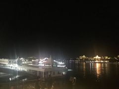 -演武大桥观景平台