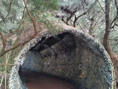 -北海金海湾红树林生态旅游区