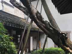 -乌镇东栅景区-江南百床馆