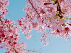 -福建鲤鱼洲酒店