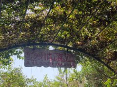 -三亚蜈支洲岛旅游区