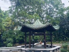 -九龙公园