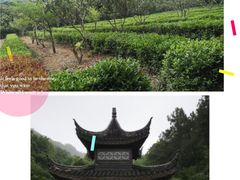 -九龙潭景区