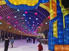 -沈阳奥体冰雪嘉年华