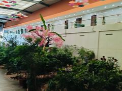 -君临七星生态酒店