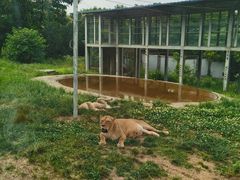 -西安秦岭野生动物园