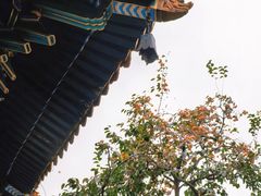 -雍和宫