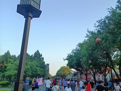 -大雁塔北广场音乐喷泉