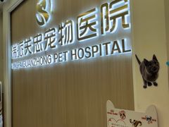 -瑞派·关忠动物医院·猫专科·犬专科(三环新城店)