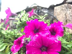 -丹山赤水风景名胜区