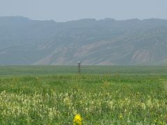 -新疆那拉提国家旅游度假区