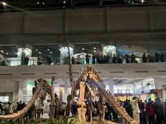 -自贡恐龙博物馆