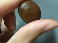 -金栗王(清扬路店)