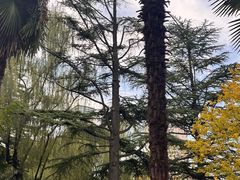 -西安市长乐公园