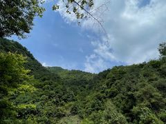 -大奇山国家森林公园