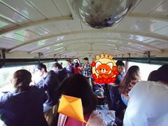 -普芬比利蒸汽火车