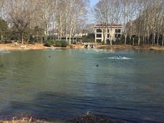 -河南省黄河迎宾馆