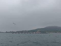 -刘公岛景区